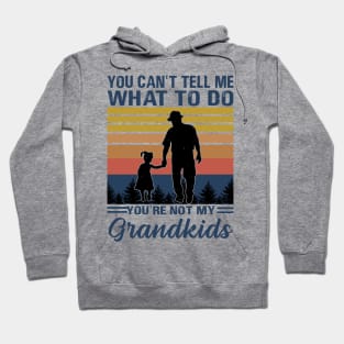 you can't tell me what to do you're not my grandkids Hoodie